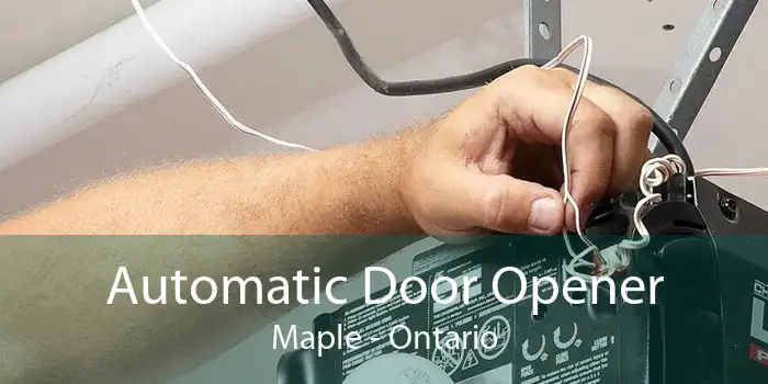 Automatic Door Opener Maple - Ontario