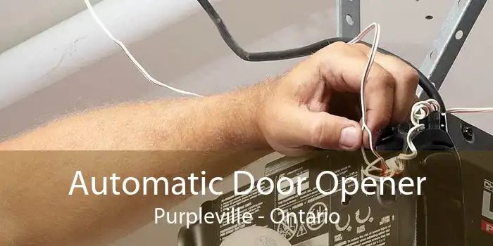 Automatic Door Opener Purpleville - Ontario