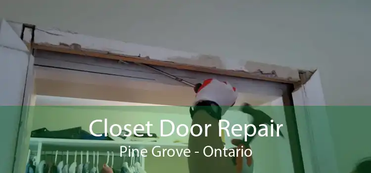 Closet Door Repair Pine Grove - Ontario