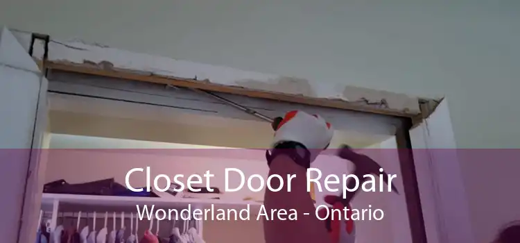 Closet Door Repair Wonderland Area - Ontario