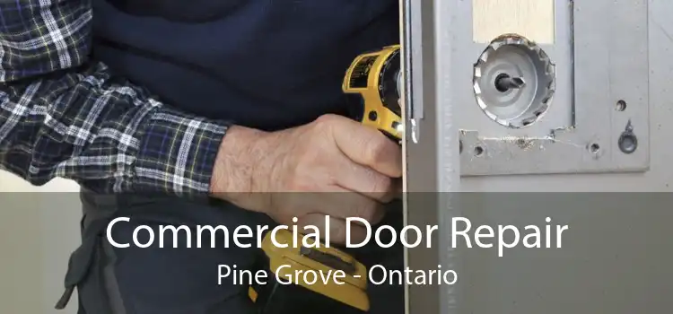 Commercial Door Repair Pine Grove - Ontario