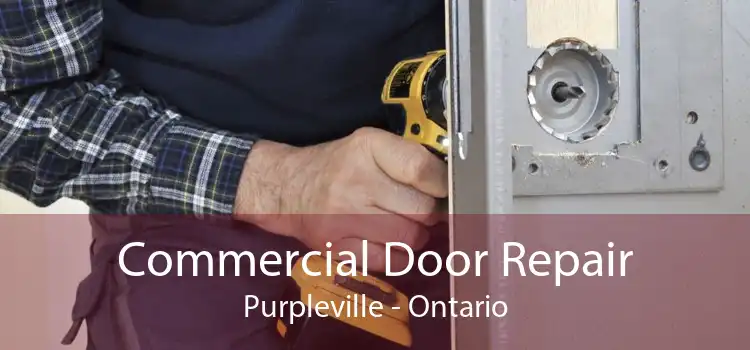 Commercial Door Repair Purpleville - Ontario