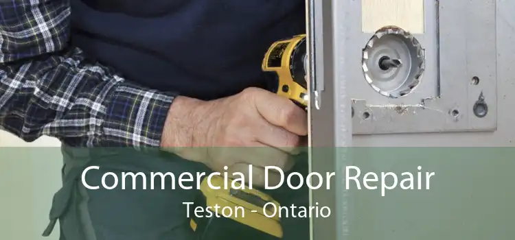 Commercial Door Repair Teston - Ontario