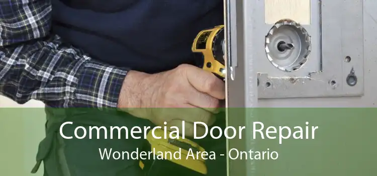 Commercial Door Repair Wonderland Area - Ontario