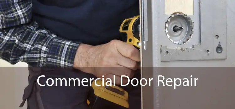 Commercial Door Repair