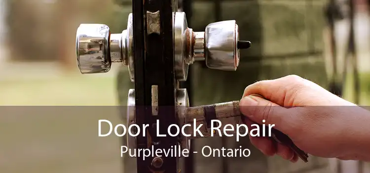 Door Lock Repair Purpleville - Ontario