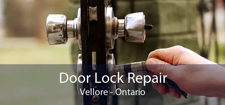 Door Lock Repair Vellore - Ontario