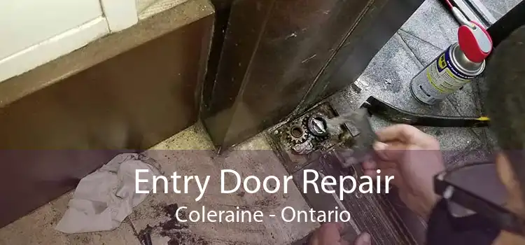 Entry Door Repair Coleraine - Ontario