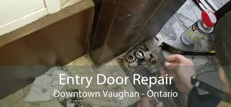 Entry Door Repair Downtown Vaughan - Ontario