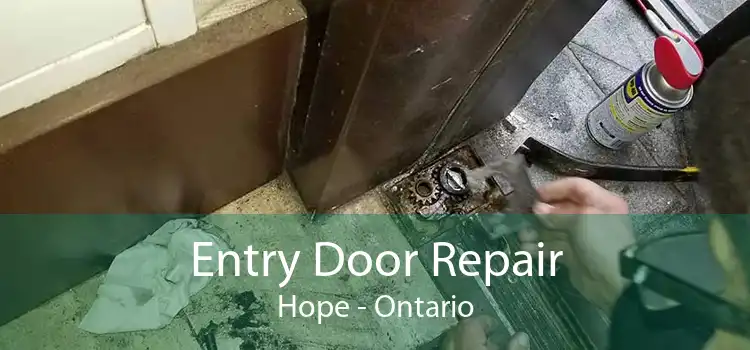 Entry Door Repair Hope - Ontario