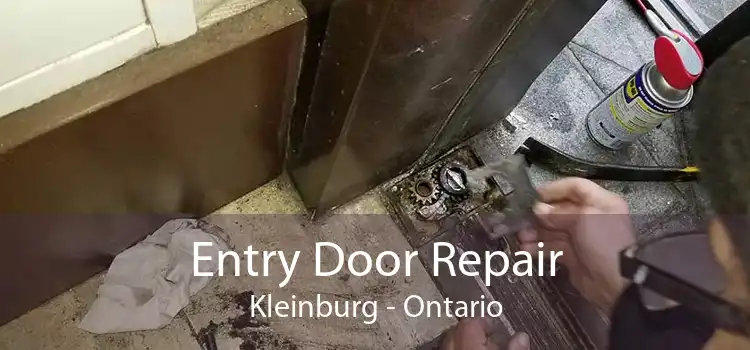 Entry Door Repair Kleinburg - Ontario