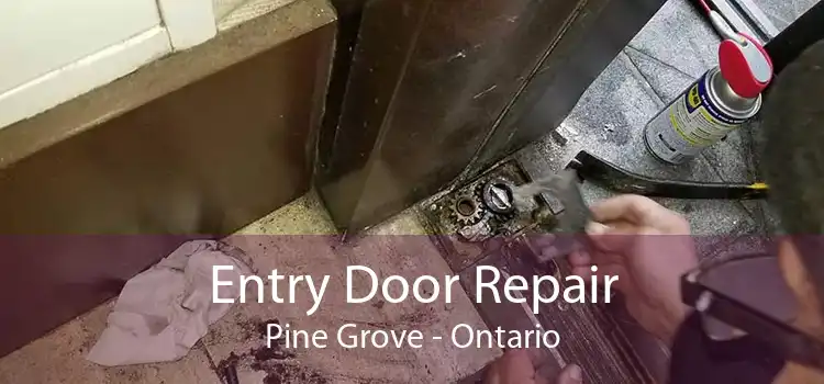 Entry Door Repair Pine Grove - Ontario