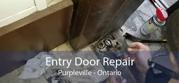 Entry Door Repair Purpleville - Ontario