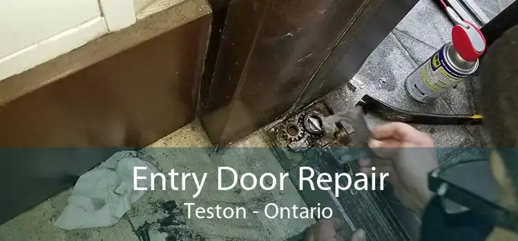 Entry Door Repair Teston - Ontario