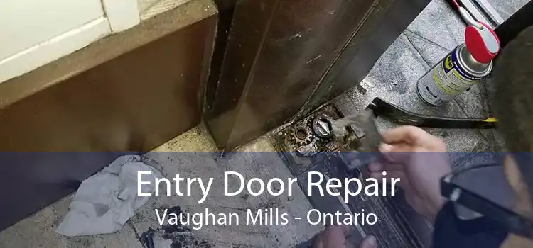 Entry Door Repair Vaughan Mills - Ontario