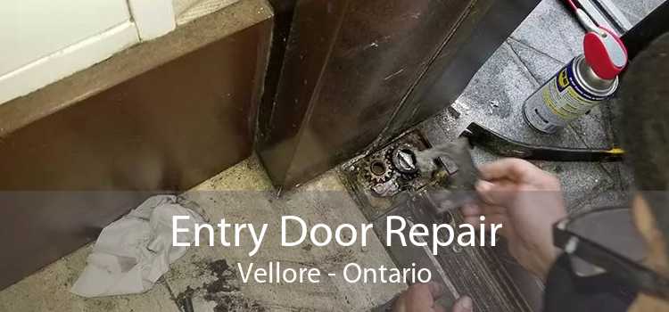 Entry Door Repair Vellore - Ontario