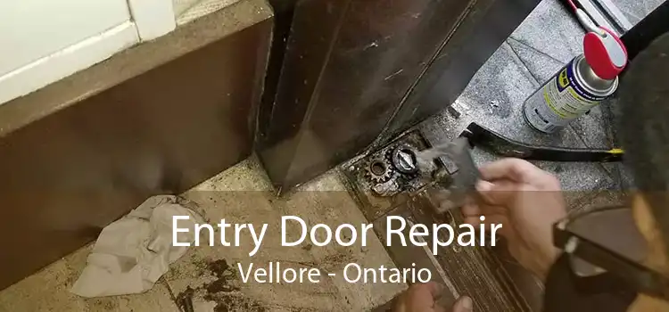 Entry Door Repair Vellore - Ontario
