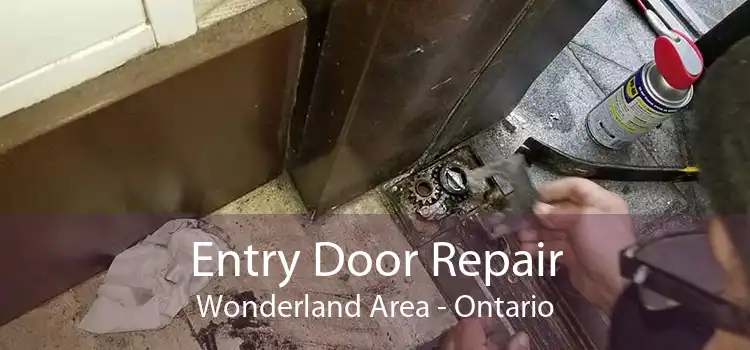 Entry Door Repair Wonderland Area - Ontario