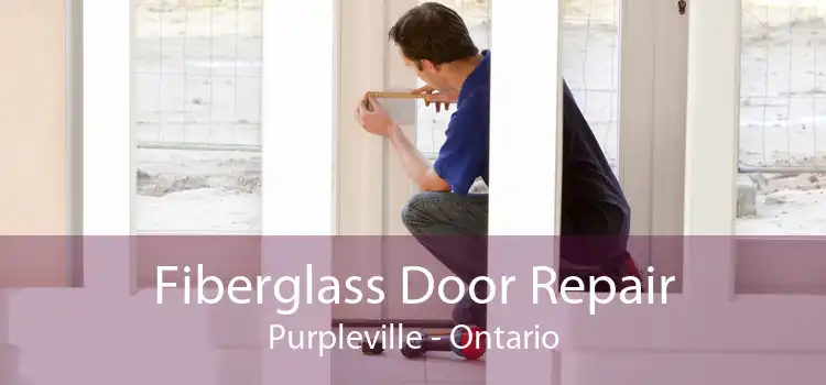 Fiberglass Door Repair Purpleville - Ontario