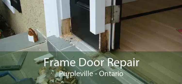 Frame Door Repair Purpleville - Ontario