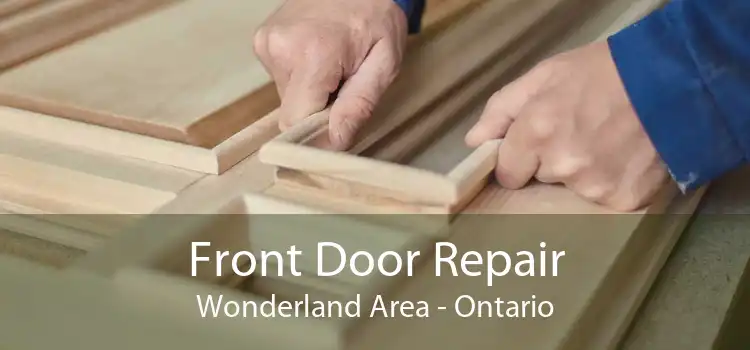 Front Door Repair Wonderland Area - Ontario
