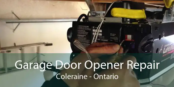 Garage Door Opener Repair Coleraine - Ontario