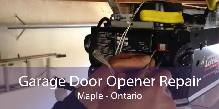Garage Door Opener Repair Maple - Ontario