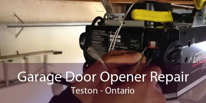 Garage Door Opener Repair Teston - Ontario