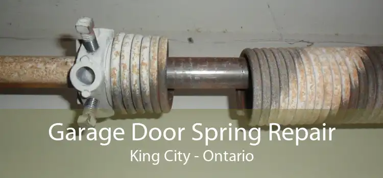 Garage Door Spring Repair King City - Ontario