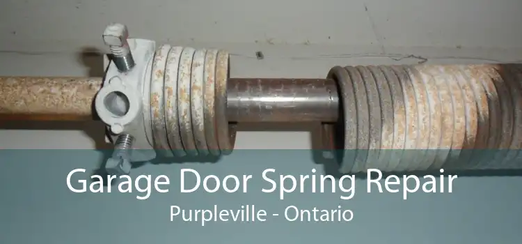 Garage Door Spring Repair Purpleville - Ontario