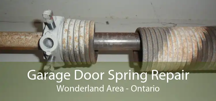 Garage Door Spring Repair Wonderland Area - Ontario