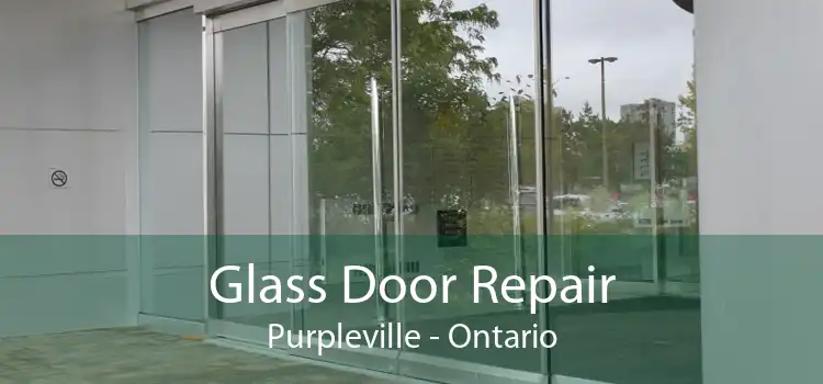 Glass Door Repair Purpleville - Ontario
