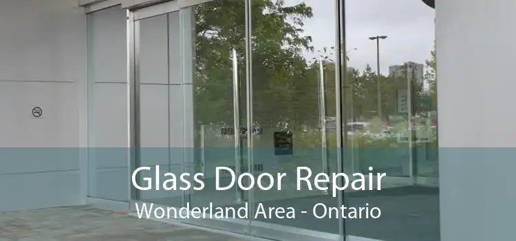 Glass Door Repair Wonderland Area - Ontario
