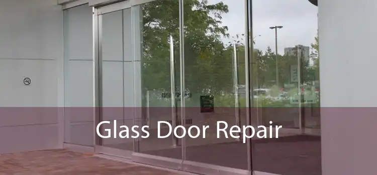 Glass Door Repair