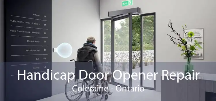 Handicap Door Opener Repair Coleraine - Ontario