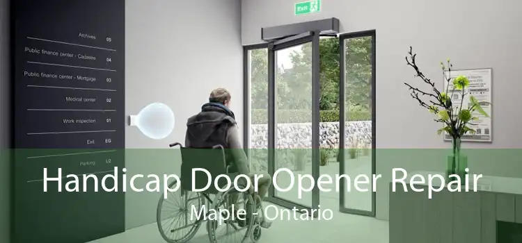 Handicap Door Opener Repair Maple - Ontario