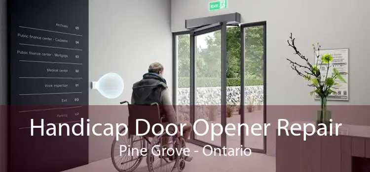 Handicap Door Opener Repair Pine Grove - Ontario