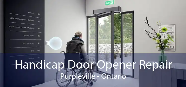 Handicap Door Opener Repair Purpleville - Ontario