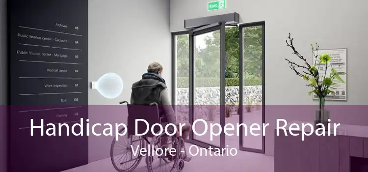 Handicap Door Opener Repair Vellore - Ontario