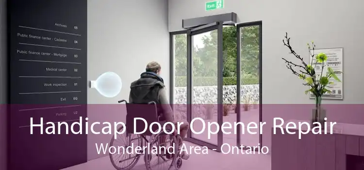 Handicap Door Opener Repair Wonderland Area - Ontario