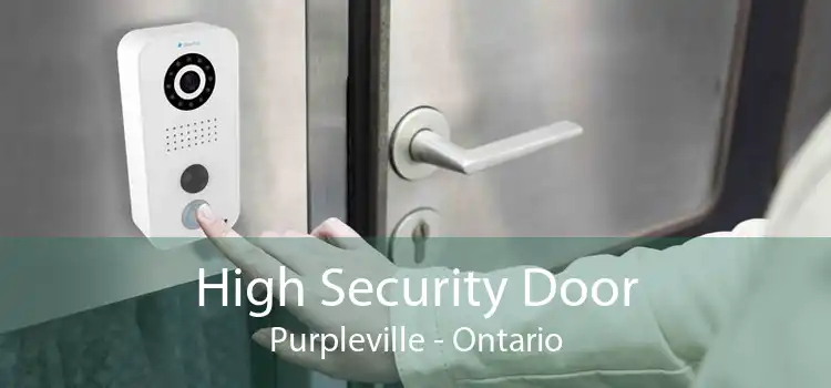 High Security Door Purpleville - Ontario