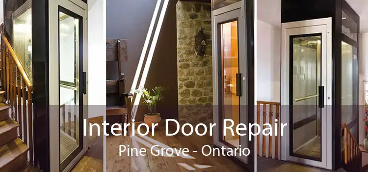 Interior Door Repair Pine Grove - Ontario