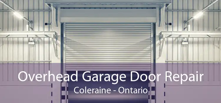 Overhead Garage Door Repair Coleraine - Ontario