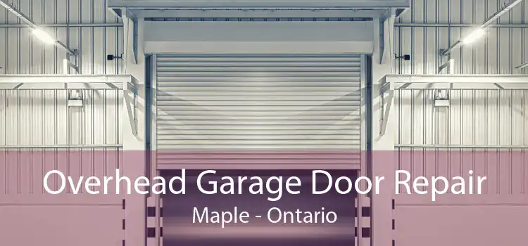 Overhead Garage Door Repair Maple - Ontario