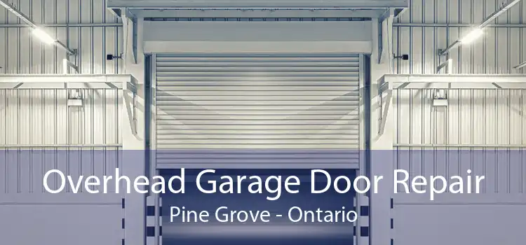Overhead Garage Door Repair Pine Grove - Ontario