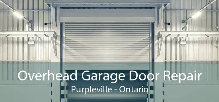 Overhead Garage Door Repair Purpleville - Ontario