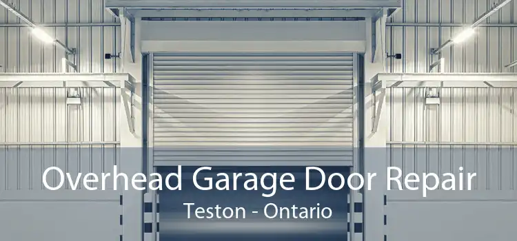 Overhead Garage Door Repair Teston - Ontario