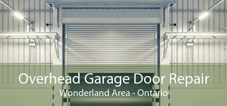 Overhead Garage Door Repair Wonderland Area - Ontario