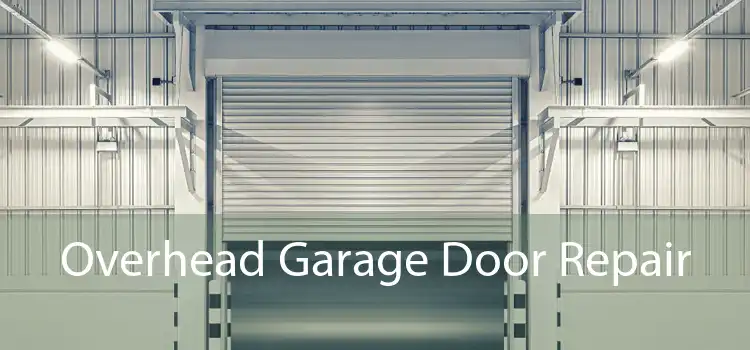 Overhead Garage Door Repair