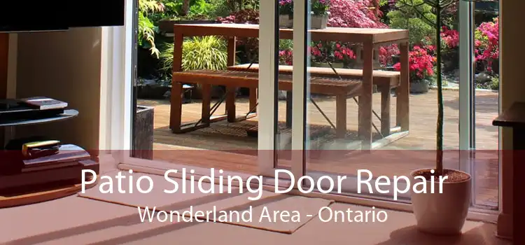 Patio Sliding Door Repair Wonderland Area - Ontario